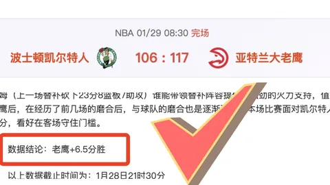 乔科维奇布里斯班赛爆冷出局，萨巴伦卡晋级半决赛